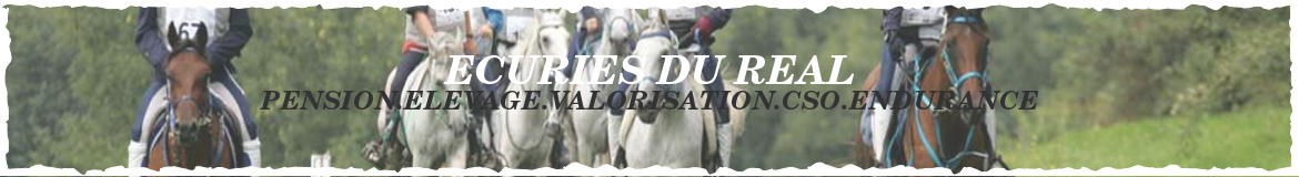 ECURIES DU REAL